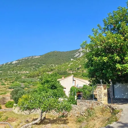 Mihaela 아파트 코미자