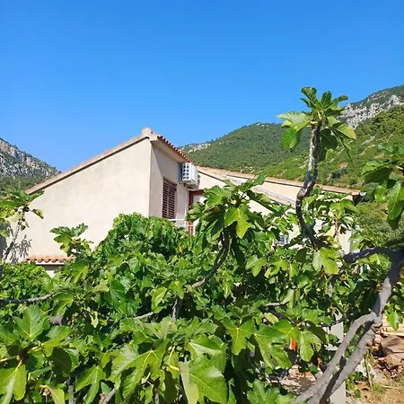 Apartmán Mihaela *